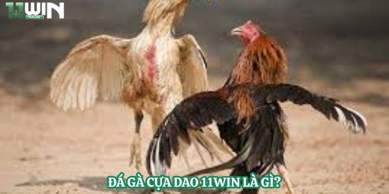 Đá gà cựa dao 11Win là gì?