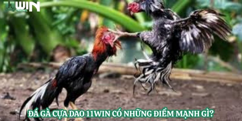 Đá gà cựa dao 11Win có những điểm mạnh gì?