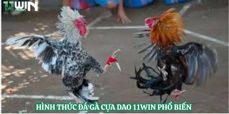 Hình thức đá gà cựa dao 11Win phổ biến 