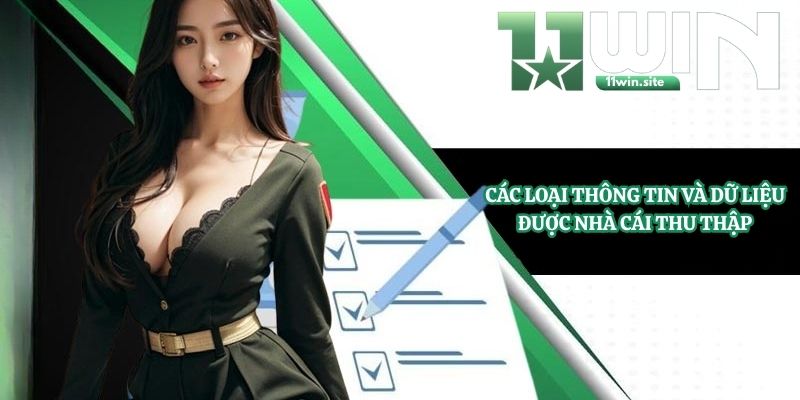 Các loại thông tin và dữ liệu được nhà cái thu thập